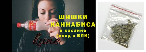 ПСИЛОЦИБИНОВЫЕ ГРИБЫ Липки