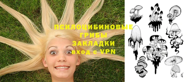 ПСИЛОЦИБИНОВЫЕ ГРИБЫ Липки